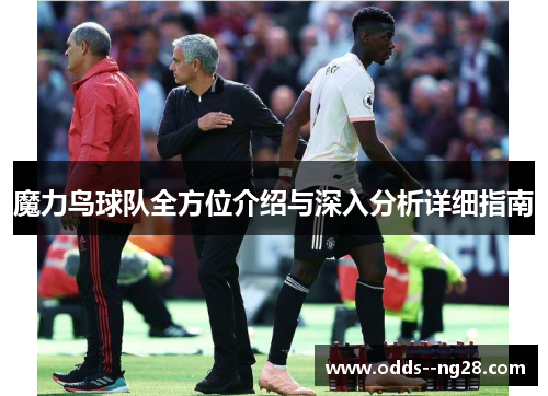 魔力鸟球队全方位介绍与深入分析详细指南