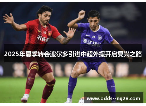 2025年夏季转会波尔多引进中超外援开启复兴之路