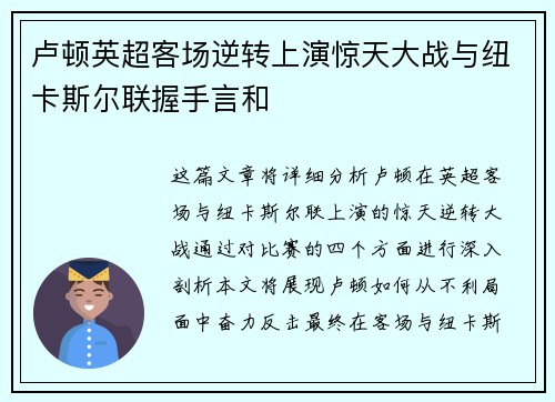 卢顿英超客场逆转上演惊天大战与纽卡斯尔联握手言和 卢顿英超客场逆转上演惊天大战与纽卡斯尔联握手言和
